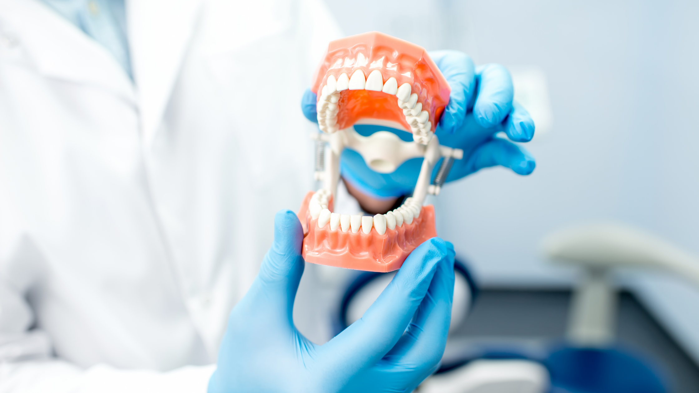 Gnatologo e articolazione mandibolare