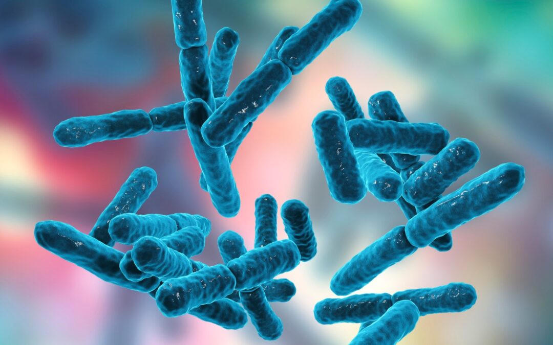 L’efficacia dei probiotici nelle cure del cavo orale