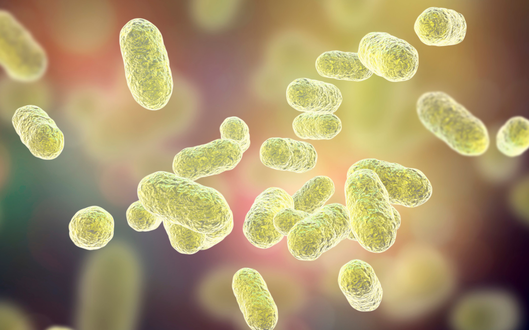 L’importante ruolo del microbiota orale