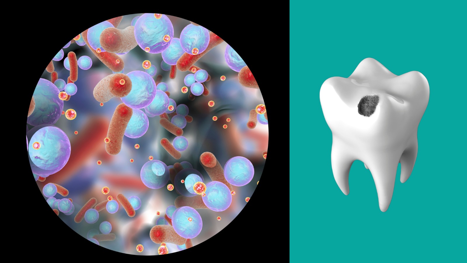Biofilm batterico: cos’è e perché va rimosso