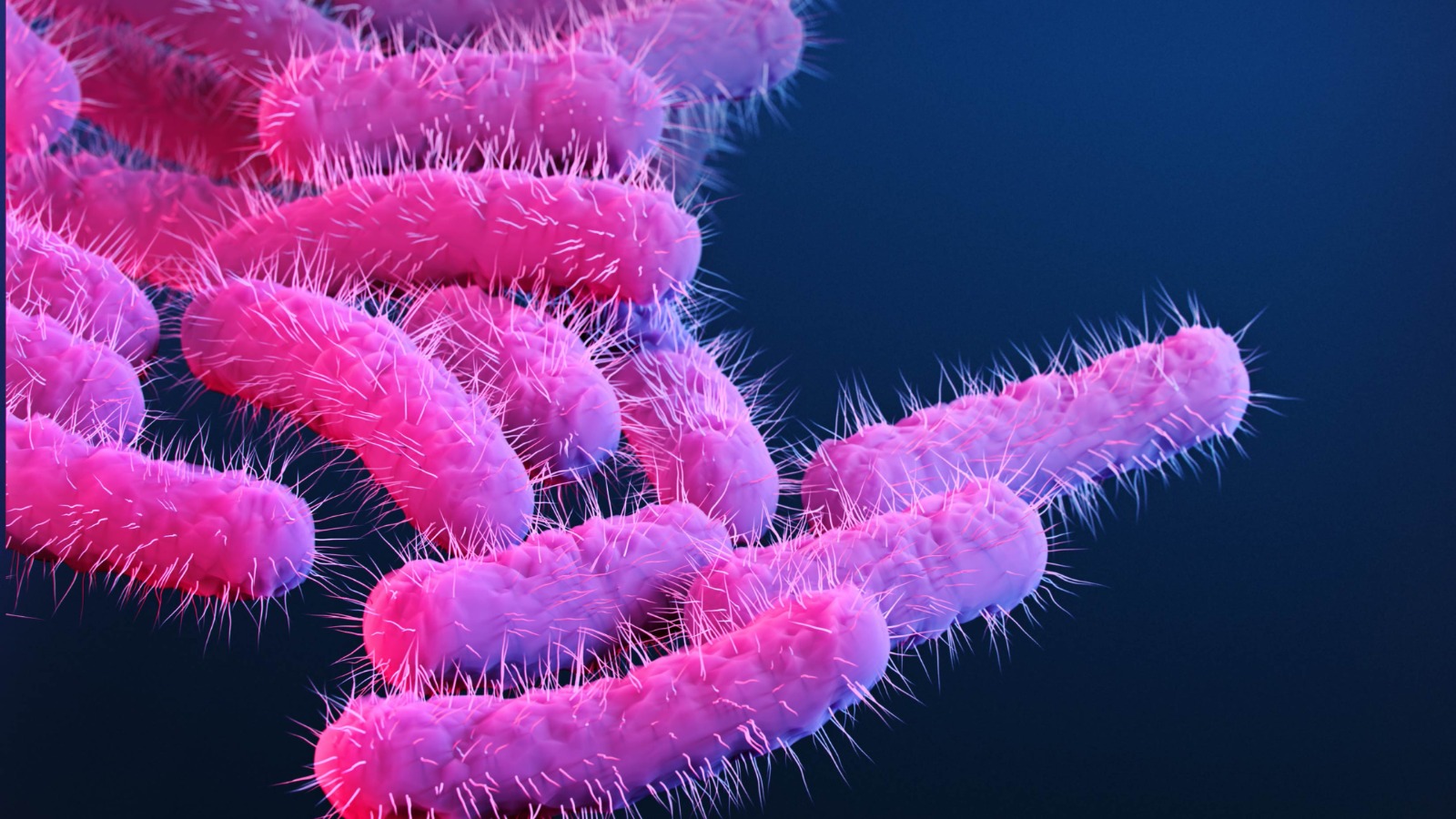 I meccanismi di resistenza agli antibiotici nelle cure odontoiatriche