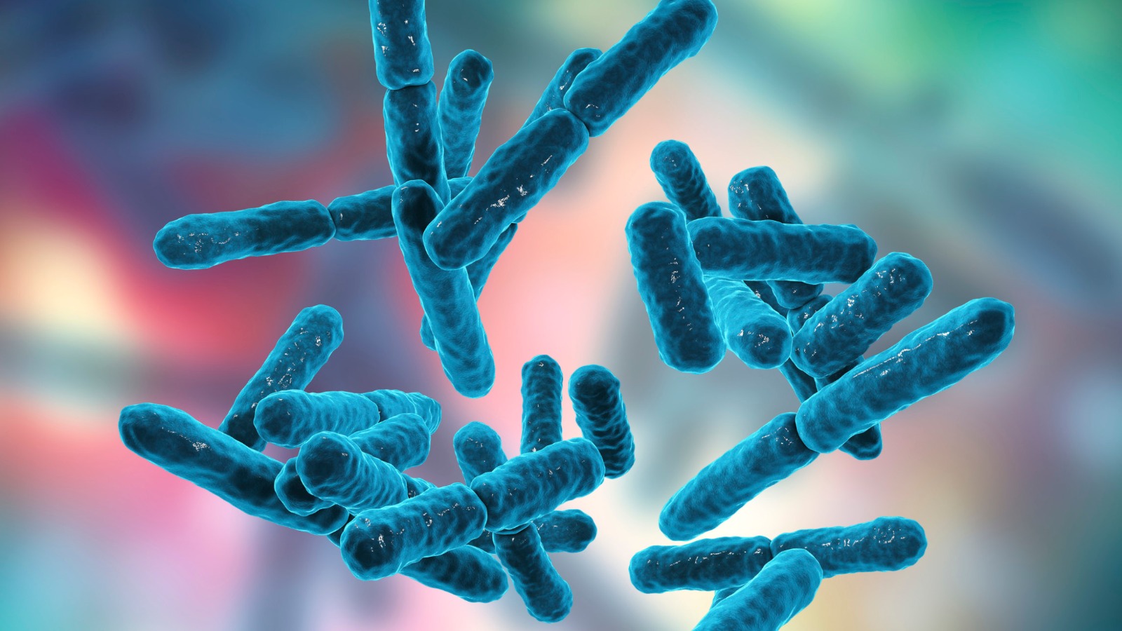 L’efficacia dei probiotici nelle cure del cavo orale
